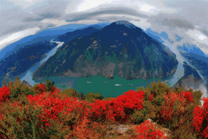 微信图片_20201121075536.gif