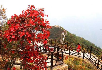 微信图片_20201121075705.jpg