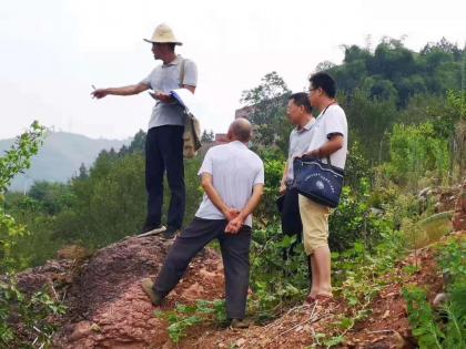 20190905梨早七社树木统计.jpg